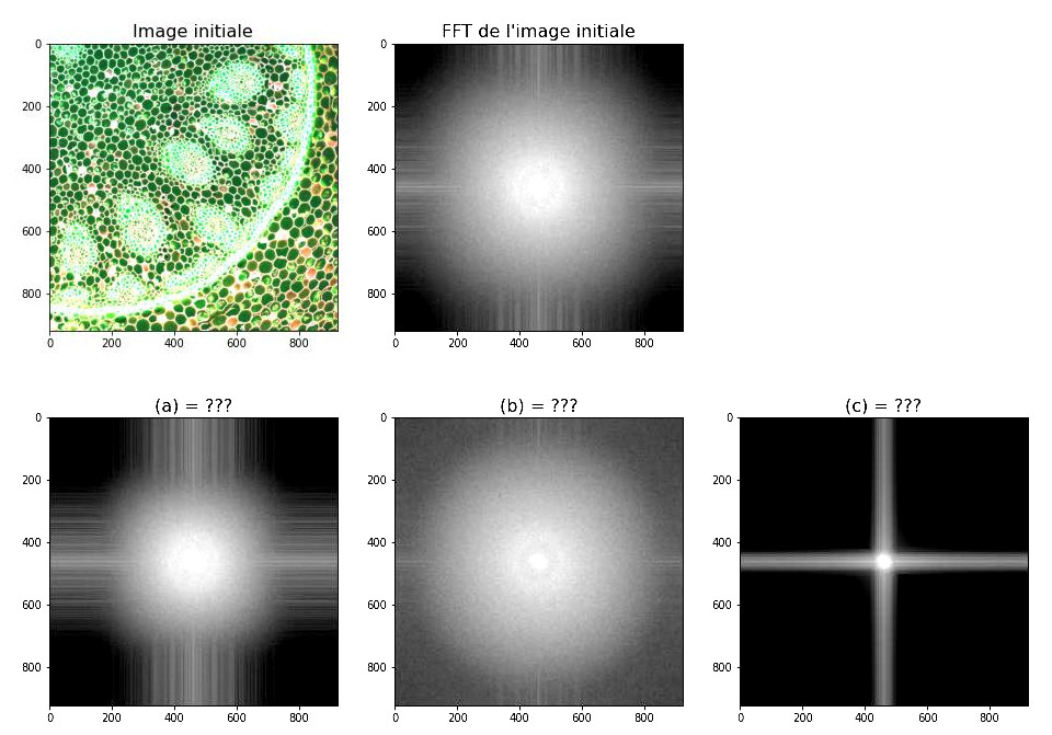 _images/filtrages.jpg